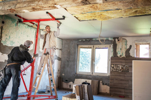 Best Insulation Installation Services in Evergreen, CO